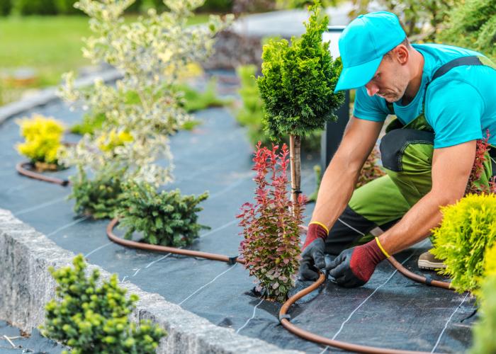 Landscape installation deals